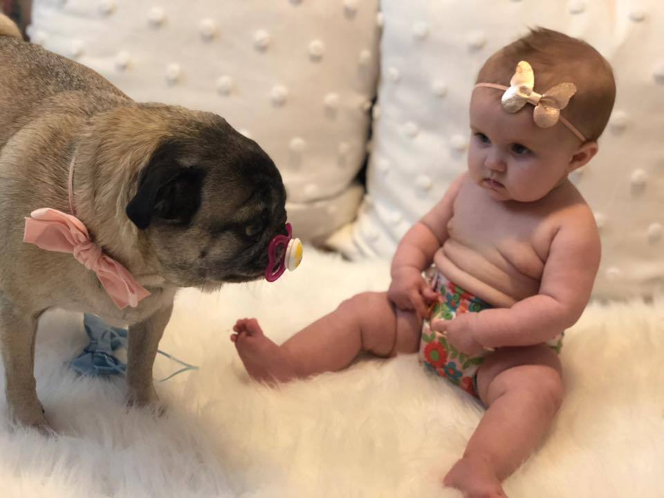 Leather Butterfly Hair Bows - Metallics-leather butterfly hair accessories - no slip clip - party hair bows - spring hair accessories - easter hair bows -Moo G Clips