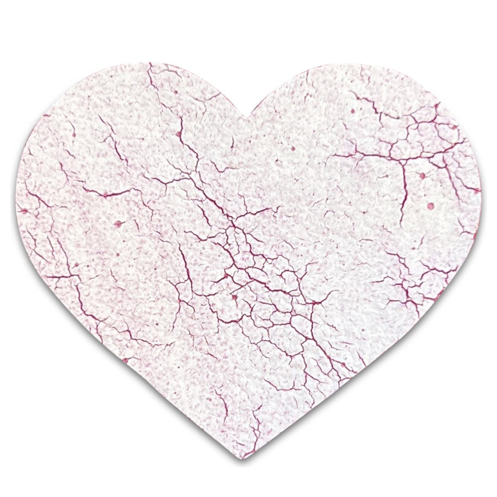 Leather Hearts *NEW colors added!*-no slip leather hair bows no slip leather hair clips-Moo G Clips