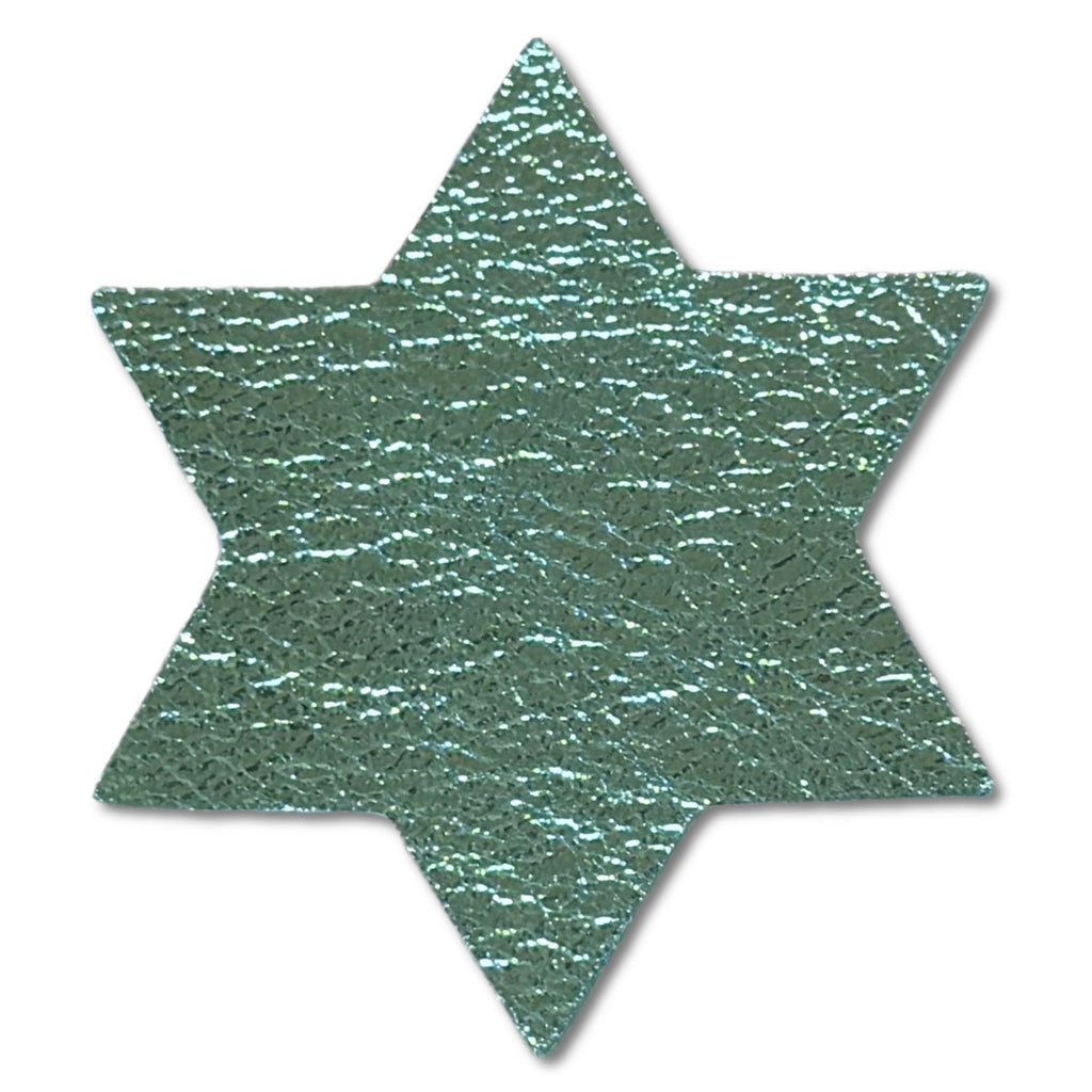 Star of David Metallic Leather Hair Clips-no slip leather hair bows no slip leather hair clips-Moo G Clips