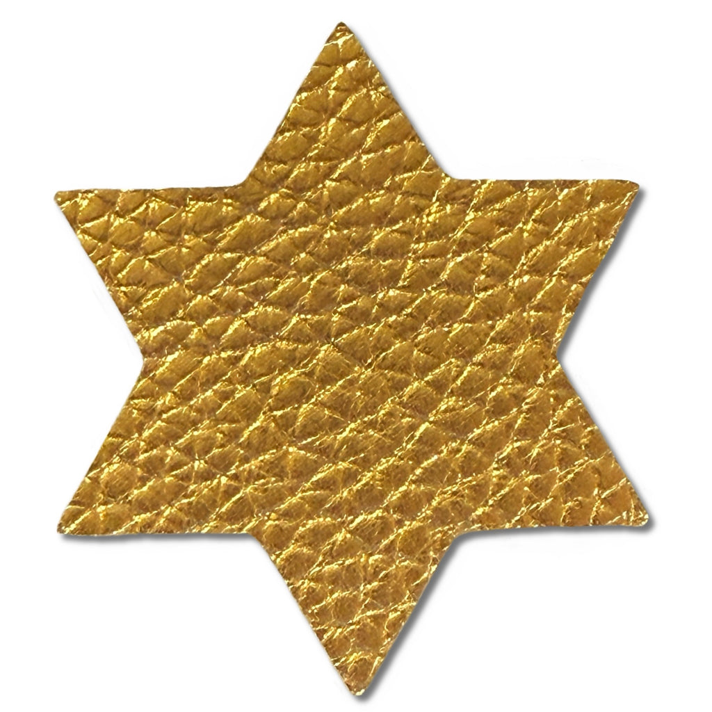 Star of David Metallic Leather Hair Clips-no slip leather hair bows no slip leather hair clips-Moo G Clips