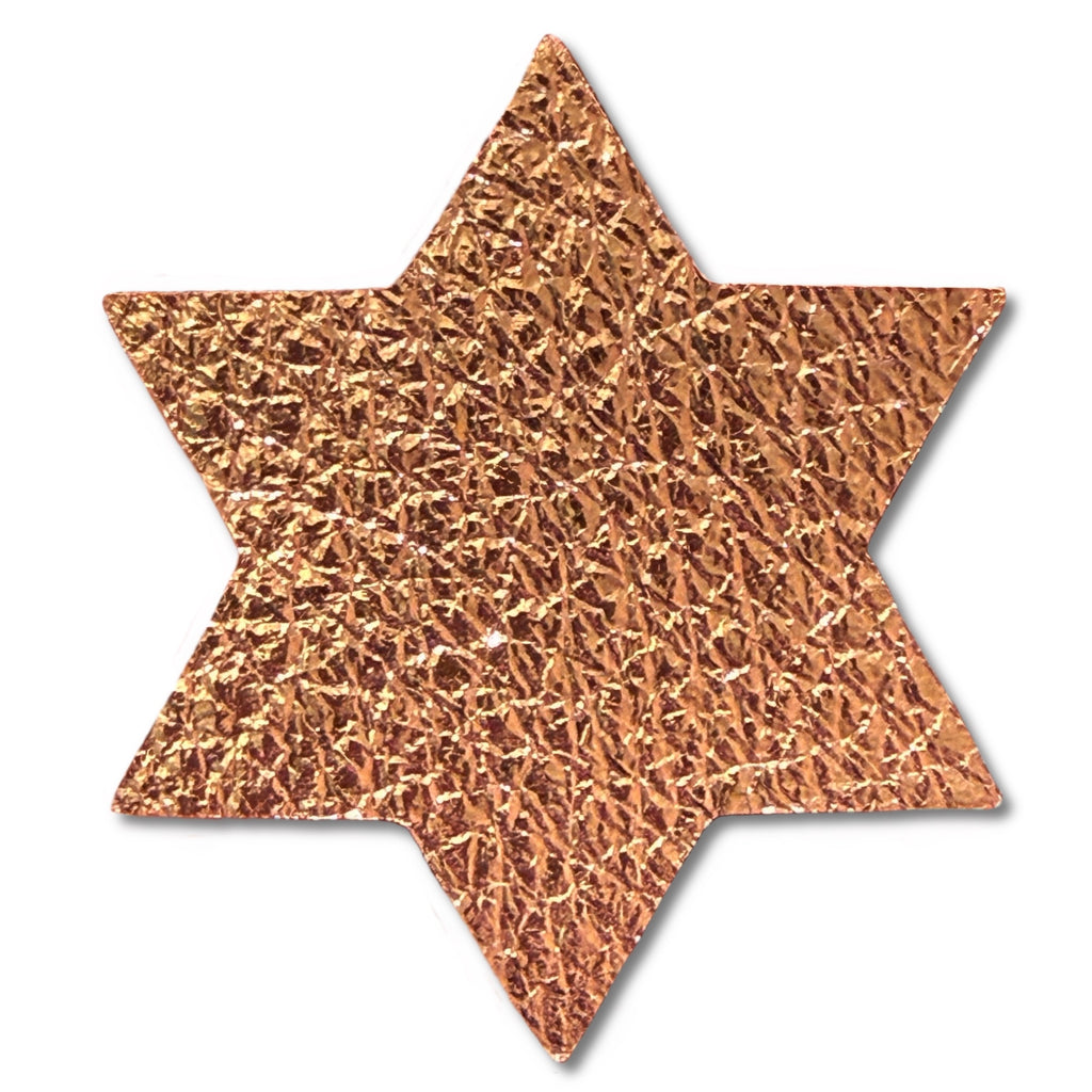 Star of David Metallic Leather Hair Clips-no slip leather hair bows no slip leather hair clips-Moo G Clips
