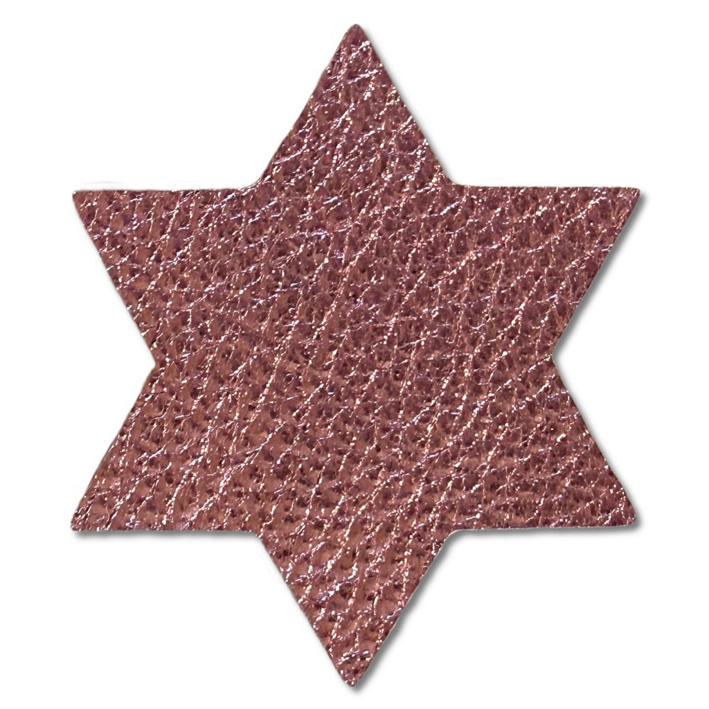 Star of David Metallic Leather Hair Clips-no slip leather hair bows no slip leather hair clips-Moo G Clips