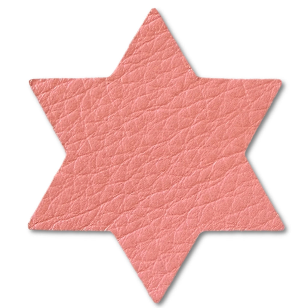 Star of David Solid Leather Hair Clips-no slip leather hair bows no slip leather hair clips-Moo G Clips