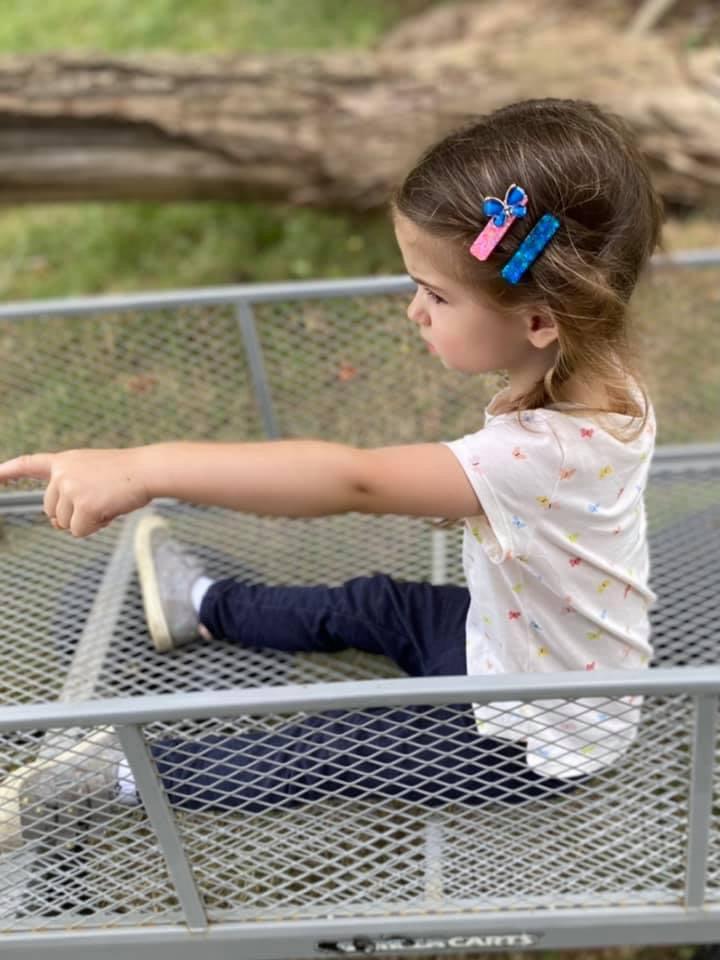 Insect Charmed Resin Bar Hair Clips-Clearance no slip hair clips-Flower No slip hair clips-Animal no slip hair clips-Star no slip hair clip-heart no slip hair clips-butterfly no slip hair clips-Moo G Clips